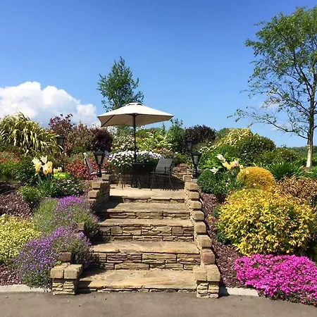 B&B Rose Garden