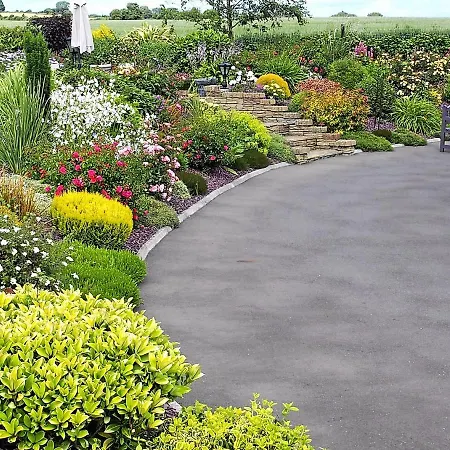 B&B Rose Garden *